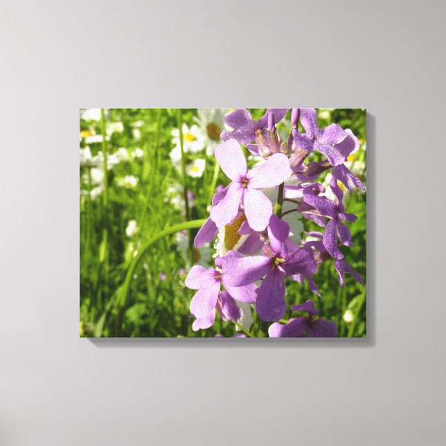 Summer Lilac and Daisies Canvas Print (Front)