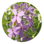 Summer Lilac and Daisies Classic Round Sticker
