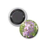 Summer Lilac and Daisies Magnet