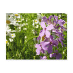 Summer Lilac and Daisies Postcard