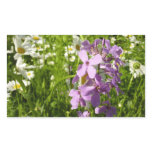 Summer Lilac and Daisies Rectangular Sticker