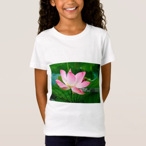 Summer Lotus Girls Fine Jersey Tees T_Shirt