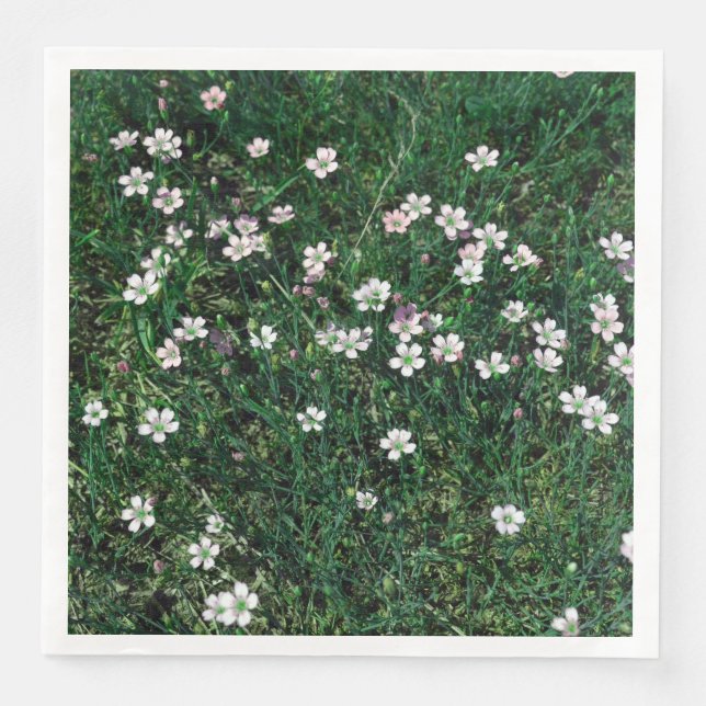 Summer Meadow Small White & Light Pink Wildflowers Paper Dinner Napkins (Front)