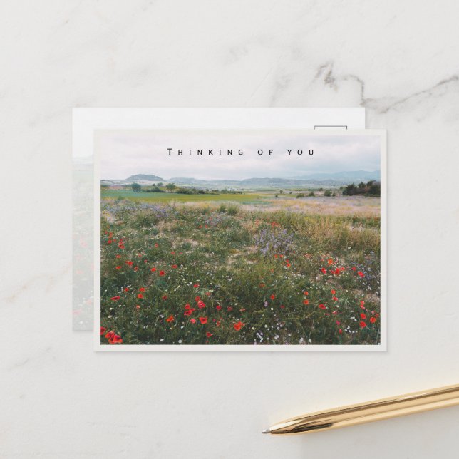 Summer meadow, thinking of you postcard (Front/Back In Situ)