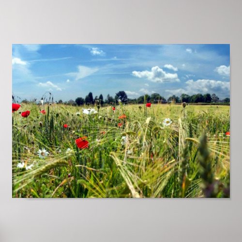 Summer Meadowsr ed poppies wild flowers Garden of Poster
