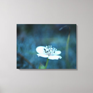 Summer Memories Canvas Print