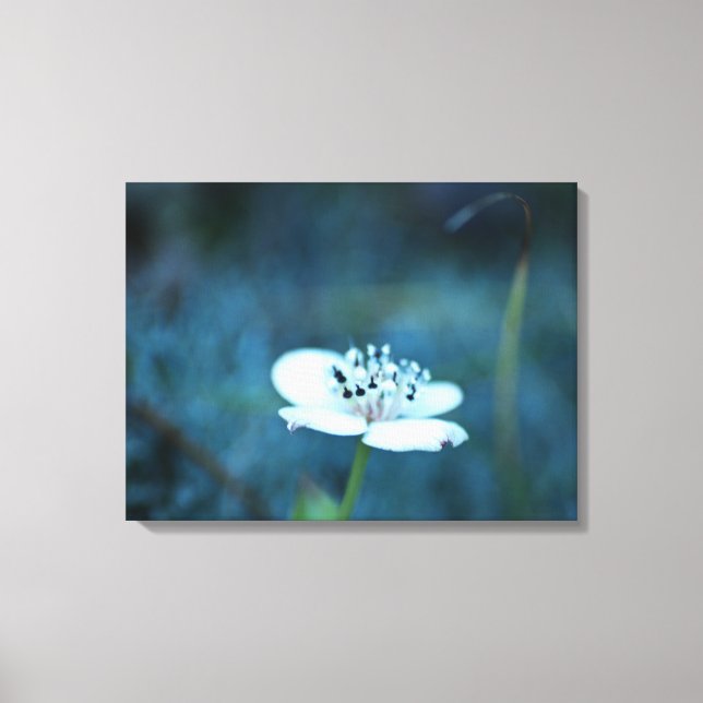 Summer Memories Canvas Print (Front)