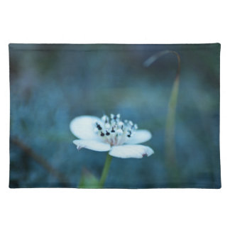 Summer Memories Cloth Placemat
