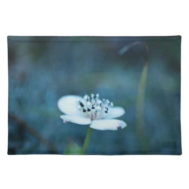 Summer Memories Cloth Placemat (Front)