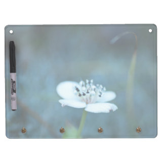 Summer Memories Dry Erase Board With Keychain Holder