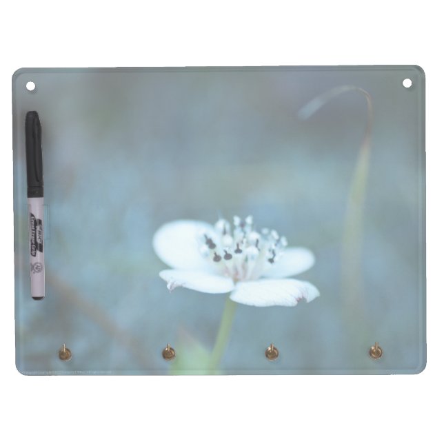 Summer Memories Dry Erase Board With Keychain Holder (Front)