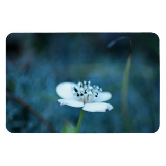 Summer Memories Magnet