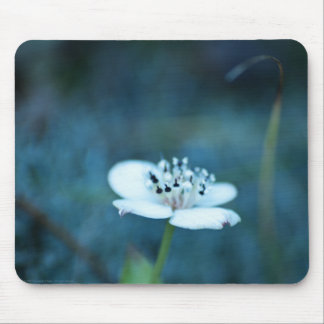 Summer Memories Mouse Pad