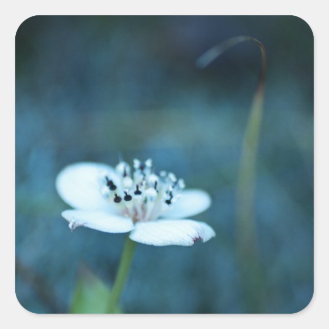 Summer Memories Square Sticker (Front)
