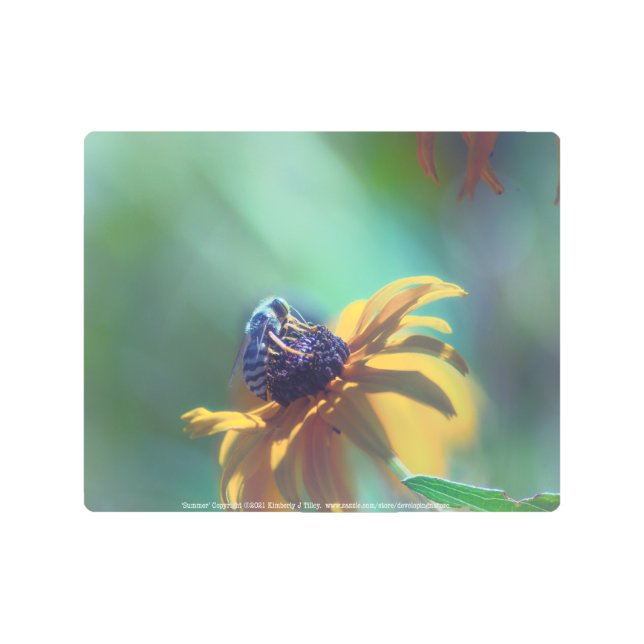 Summer Metal Print (Front)