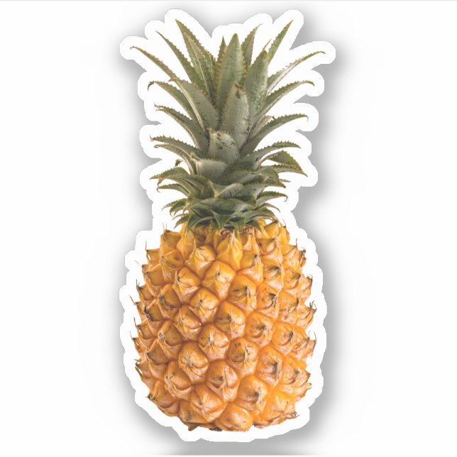 Summer modern pretty girly tropical pineapple sticker (Front)