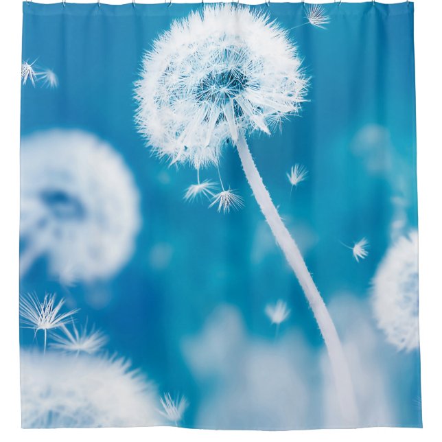 Summer natural floral background. White dandelions Shower Curtain (Front)
