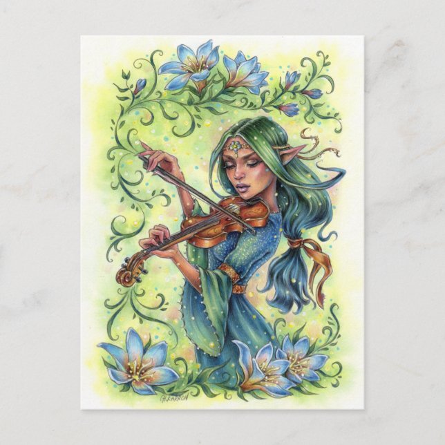 Summer Night Fiddler Postcard (Front)