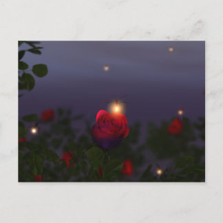 Summer Nightlights Postcard