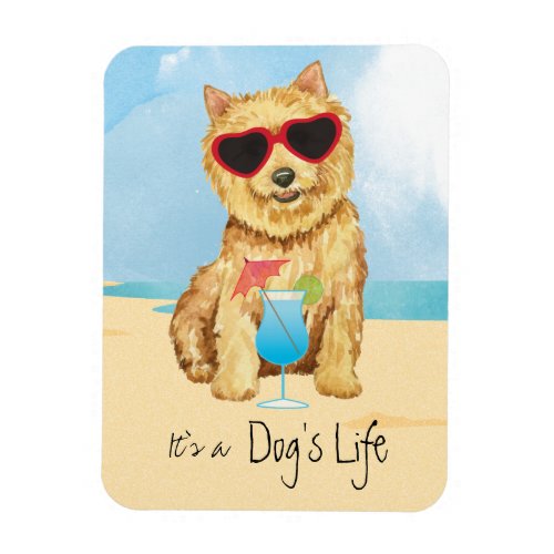 Summer Norwich Terrier Magnet