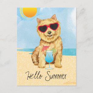 Summer Norwich Terrier Postcard