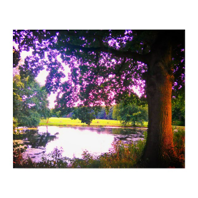 Summer Oak Tree and Pond Acrylic Print (Front)