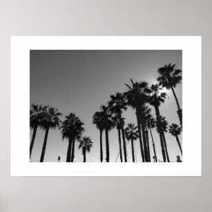 Minimal Poster Art black and white Premium Poster All About Palms No Wall-Art b/&w Summer Tropical Fine Art-Print 1   Palms