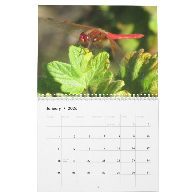 Summer Of The Dragonfly ~ 2014 Calendar (Jan 2026)