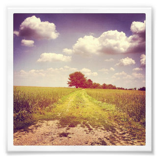 Summer Off Road Photo Print