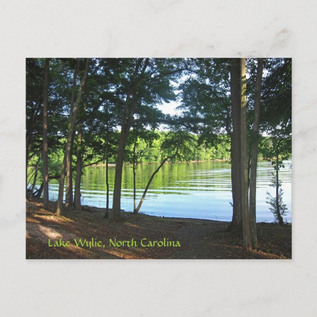 Summer on Lake Wylie! Postcard (Front)