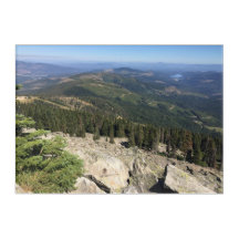 Summer on Mount Spokane Washington Acrylic Art