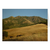 Summer on Mt. Diablo, CA (Front Horizontal)