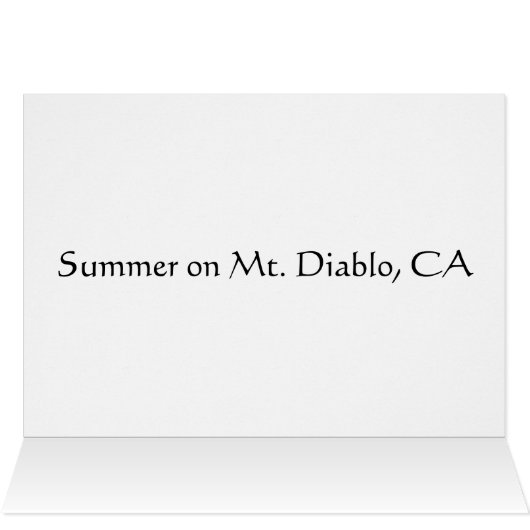 Summer on Mt. Diablo, CA (Inside Horizontal (Top))