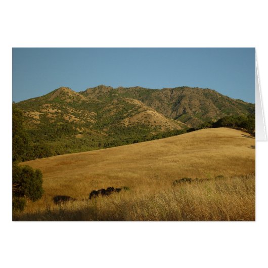 Summer on Mt. Diablo, CA Cards (Front Horizontal)