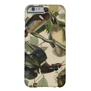 Summer Or Wood Duck Barely There Iphone 6 Case by birdpictures at Zazzle