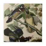 Summer Or Wood Duck Tile at Zazzle