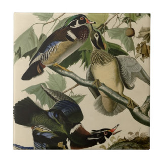 Summer or Wood Duck Tile