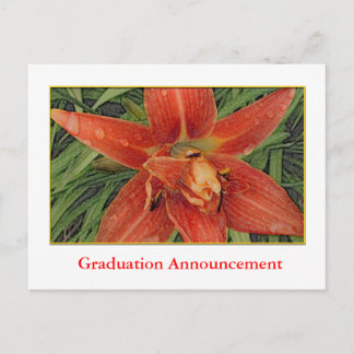 Summer orange lily flowers graduation announcement postcard