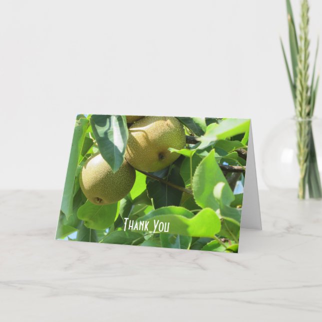 Summer Pears Letterpress Thank You Card (Front)