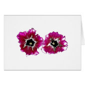 Summer Petunias (Front Horizontal)