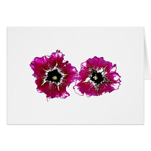 Summer Petunias (Front Horizontal)