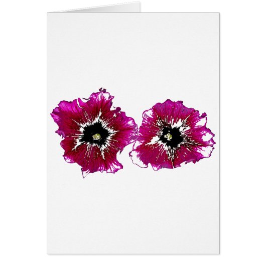 Summer Petunias Cards (Front)