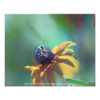Summer Photo Print