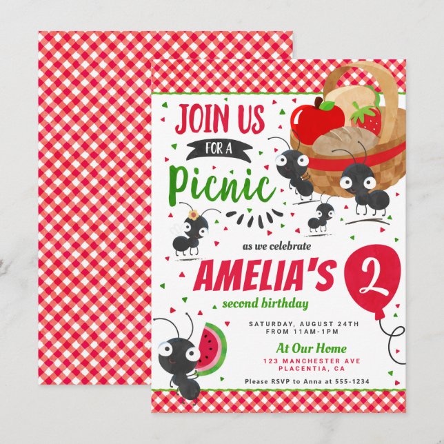 Summer Picnic in the park Birthday Party Invitation (Front/Back)