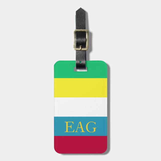 Summer Picnic Palette Stripe Monogram Luggage Tag (Front Vertical)