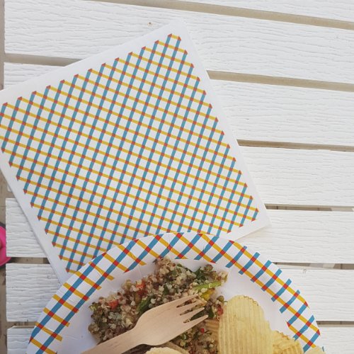 Summer Picnic Party Napkins