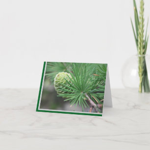 Summer Pine Cone Note Card