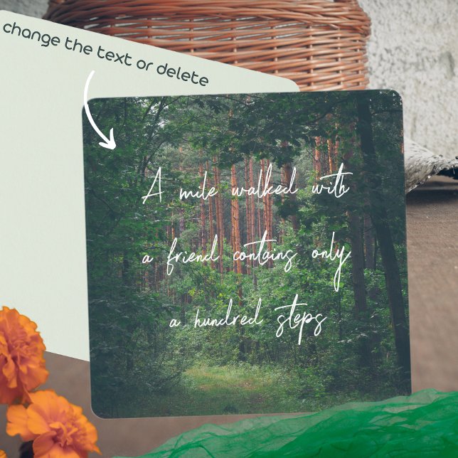 Summer pine forest path (Creator Uploaded)