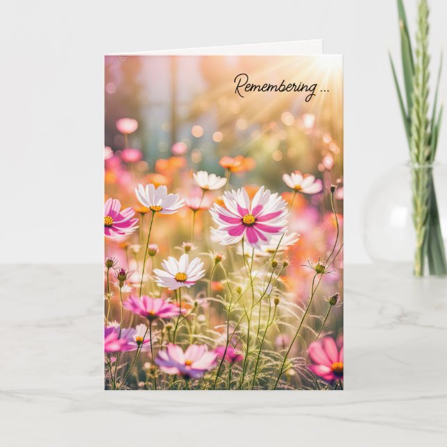 Summer Pink Cosmos for Sympathy Card (Front)