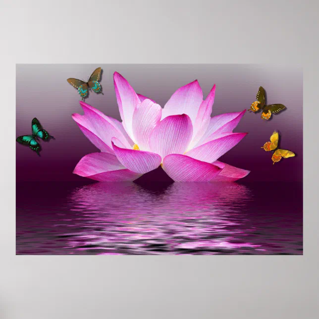 Summer Pink Lotus Flower and Colorful Butterflies Poster | Zazzle
